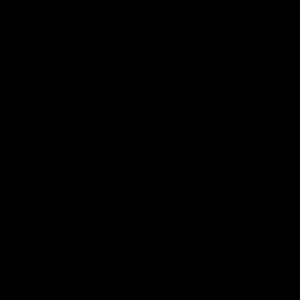 Meet your Posher, Fallyn